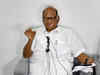 Need to fight forces creating communal divide, says Sharad Pawar