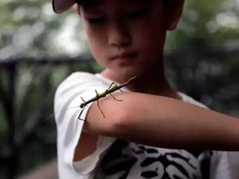 ​Make every effort to avoid mosquitoes​