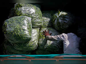 A man loads green chilies onto a supply tempo at a wholesale vegetable market in Ahmedabad