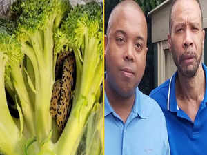 UK: Sanke found slithering in broccoli