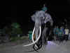 Elephant repatriated to Thailand after Sri Lanka-Thailand diplomatic row erupts