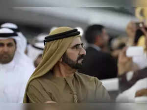 UAE to set up investment ministry, PM says
