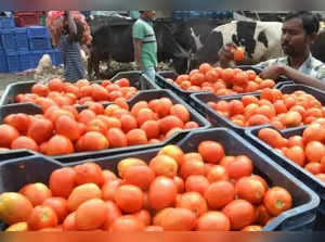Tomato prices to stabilise within next 15 days, says government