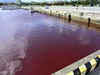 Okinawa's water turns bright red because of beer factory mishap