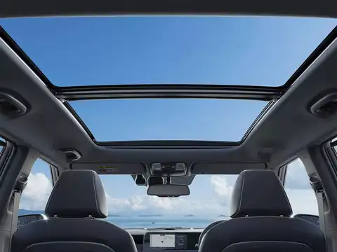 ​Panoramic sunroof​