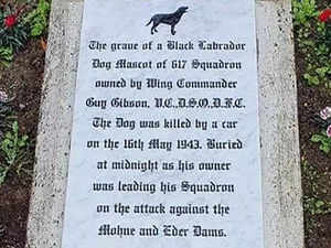 RAF Scampton Dambusters' Dog Grave controversy to take center stage in meeting