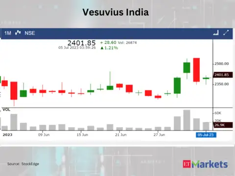 ​​Vesuvius India