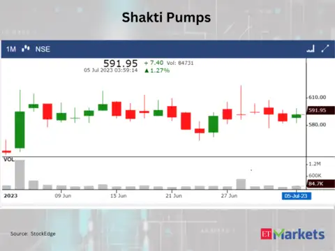 ​​Shakti Pumps