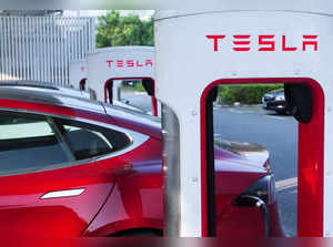 European leaders host Musk, chase Tesla investment.