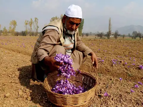 ​Iranian saffron sold as Indian​