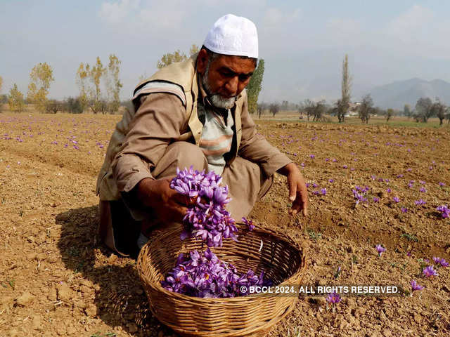 ​Iranian saffron sold as Indian​