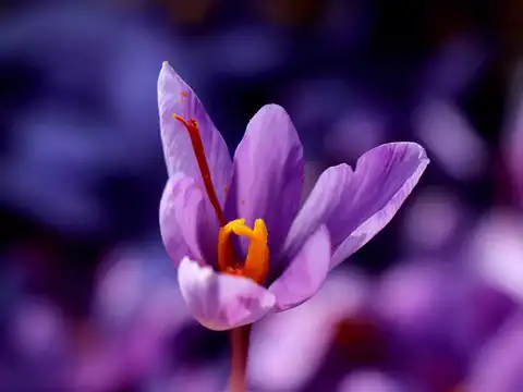 ​Importance of GI tag​