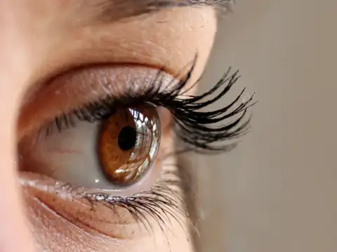 Nutritional support for eye health