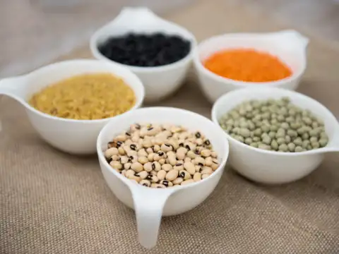 Opt for alternative protein sources