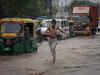 Delhi Rains: Met dept issues yellow alert; city experiences waterlogging