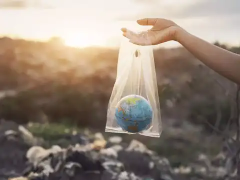 The era of humans