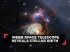Webb Space Telescope reveals stellar birth, dramatic close-up of 50 baby stars