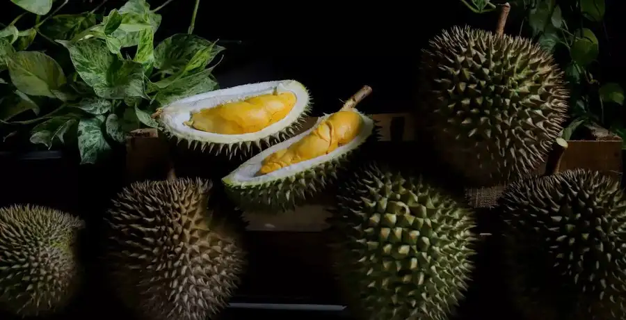 Every Time Durian, The Stinky Fruit, Made News: Flight Bans, Gift For In-Laws, Space Trip - Vimarsana News