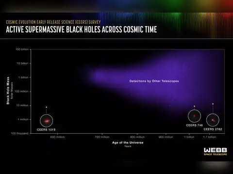 Key discoveries 