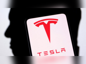 Tesla looking to drive its supply chain to India