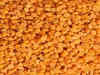Australia, Brazil to grow Arhar dal for Indian consumers