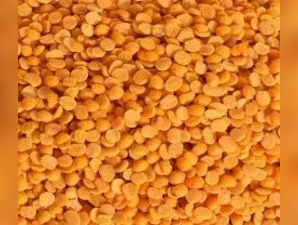 Pulses Price Hike: Gujarat grapples with soaring tur dal rates