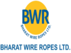 Bharat Wire looks to buy CCPS issued in 2021 rejig