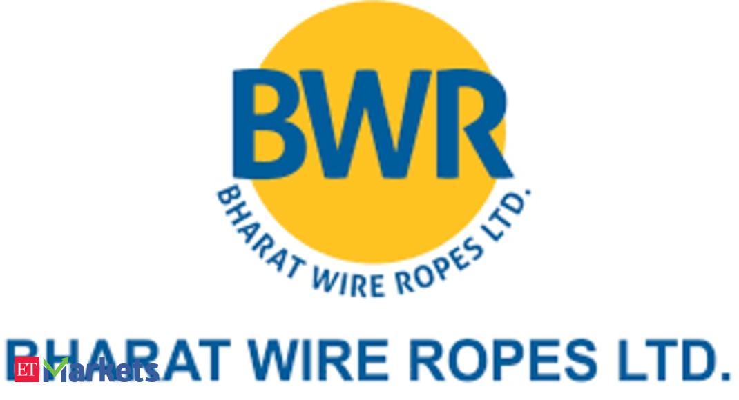 You are currently viewing Bharat Wire: Bharat Wire looks to buy CCPS issued in 2021 rejig
