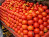 Investigation launched as smuggled tomato consignment evades destruction in Uttar Pradesh