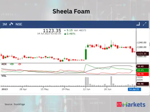 ​​Sheela Foam