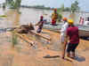 Floods damage 2.40 lakh hectares of paddy crop in Punjab