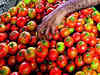 Tomatoes land custom officials in soup on UP-Nepal border