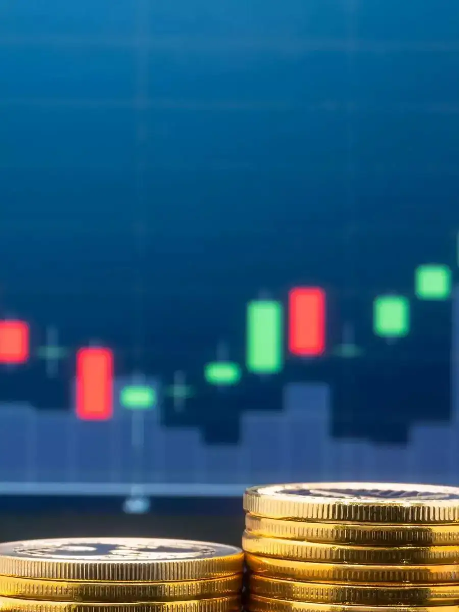 TCS share price Gainers and Losers TCS, HDFC Life among top stocks in