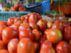 Government's discount sale of tomatoes starts in Delhi-NCR, Patna