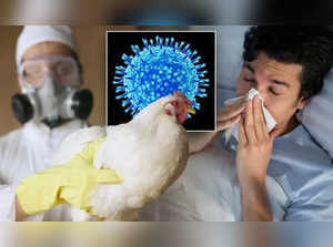 Bird Flu: Two new cases detected in poultry workers after contract with infected birds. Details here