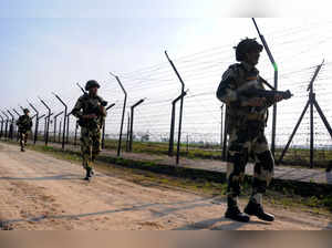 Infiltration bid foiled at LoC in J&K's Poonch, two terrorists killed (Ld)