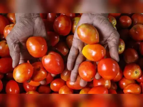 Expansion of farming operations