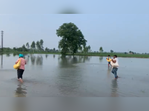 flood-affected farmers