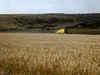 Germany's Scholz: Russia suspending grain deal sends bad message