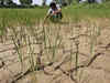Why Indian farmers worry despite 'average' monsoon rains