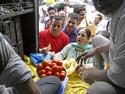 Government procuring tomatoes from key growing states