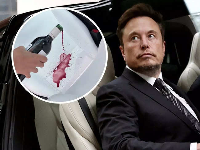 ​ Elon Musk​ was impressed with the "red wine test."​