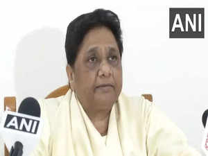 Mayawati says BSP will go solo in state elections this year; accuses Congress of forming alliance with 'castiest parties' 
