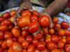 Govt reduces subsidised rate of tomato to Rs 70/kg with effect from Thursday