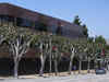Trimmed trees outside LA studio become flashpoint for striking Hollywood writers and actors