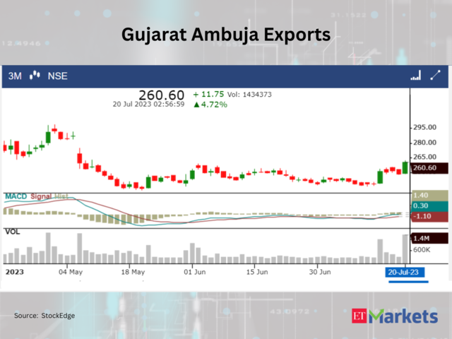 ​Gujarat Ambuja Exports