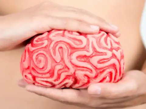 Mind and gut connection