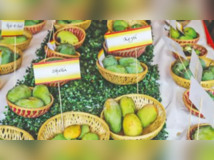 National Mango Day: Celebrating India's Beloved Fruit and Its Rich Cultural Heritage