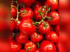 400 kg of tomatoes stolen from Pune farmer, case registered