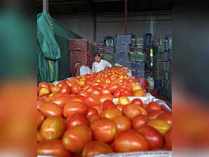 **EDS: TO GO WITH STORY** Pune: Tomatoes stored at a warehouse belonging to Ishw...